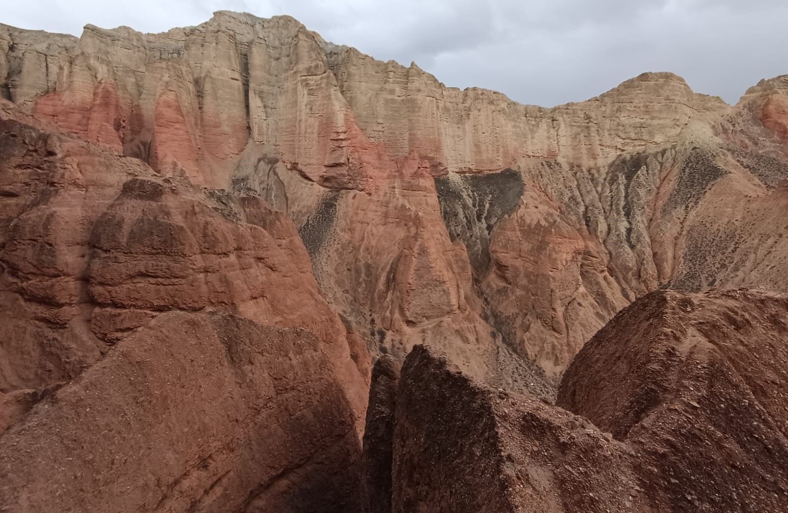 लोघेकर दामोदरकुण्ड गाउँपालिकाद्वारा ढाकमर क्षेत्रको पर्यटन प्रवर्द्धनमा सक्रिय पहल