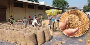 डुडुवा गाउँपालिकाका किसानको माग — “खाद्यले खरिद क्षमता बढाओस्, नत्र धान सस्तोमा बेच्न बाध्य”