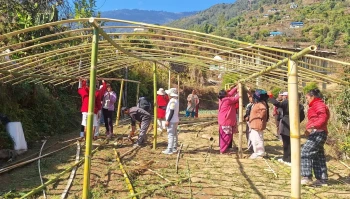 टेम्केमैयुङ गाउँपालिकामा महिलालाई तरकारी खेती तालिम र टनेल सहयोग