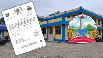 कचनकवल गाउँपालिकाद्वारा उन्नत गहुँ बीउ प्रति केजी ३७ रुपैयाँमा