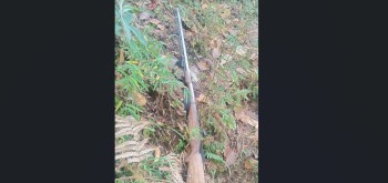 धार्चे गाउँपालिका–४ लाप्राकमा भरुवा बन्दुक दुर्घटना, एक घाइते