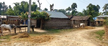 उदयपुरका पालिकामा पुरानै मुद्दा, सुकुमवासी समस्या चुनावी बहसमा