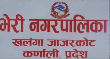 जाजरकोटको भेरी नगरपालिका वडा नं. ४ रानागाउँमा विषालु च्याउ खाँदा ११ जना बिरामी