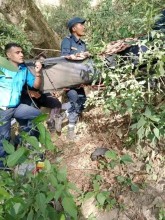डोटीको जोरायल गाउँपालिका-१ मिनिट्रक दुर्घटना हुँदा तीन जनाको मृत्यु