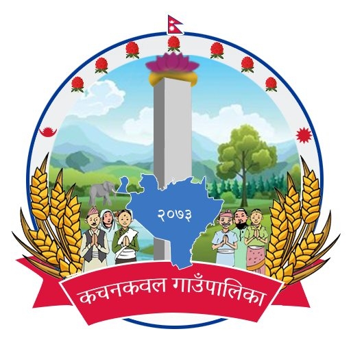 कचनकवल गाउँपालिकामा च्याउ खेतीमा युवतीको आत्मनिर्भरता र संघर्षको कथा