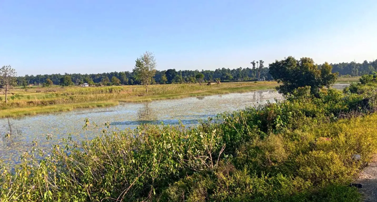 कृष्णपुर नगरपालिका र लालझाडी गाउँपालिकाबीचको सीमा विवादले गडविजुला ताल सङ्कटमा