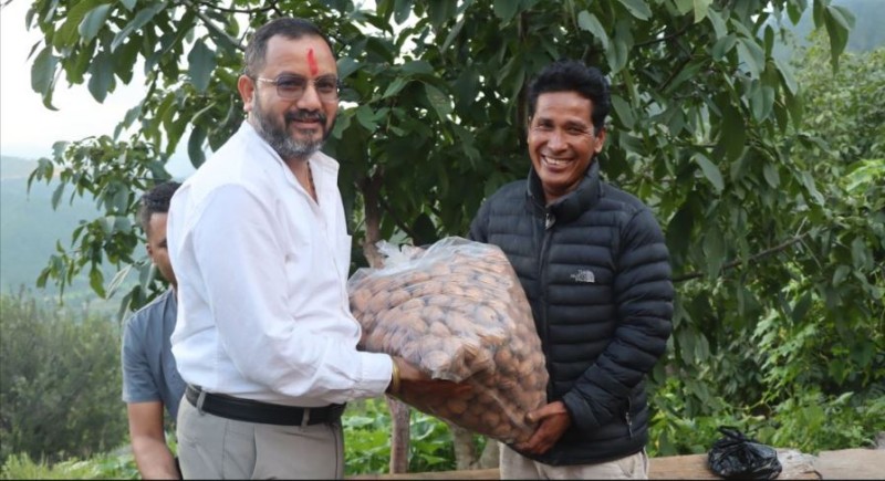 शारदा नगरपालिकाः टिमुर र ओखर खेतीबाट कृषकको नवजागरण