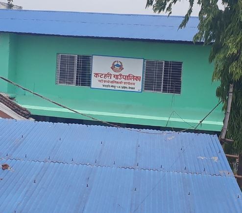 कटहरी गाउँपालिकामा धान रोपेर सडक विरोध: निर्माण प्रगति मात्र २७५%