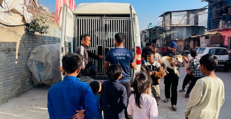 काठमाडौँ महानगरपालिकाद्वारा सामुदायिक कुकुर व्यवस्थापन र रेबिज नियन्त्रण कार्यक्रम सञ्चालन