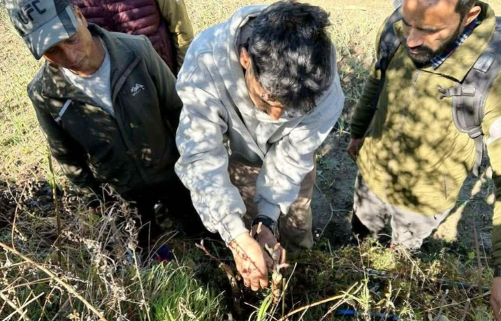 अमरगढी नगरपालिकामा बाँदरको क्षति न्यूनीकरणका लागि हिउँदे फलफूल कलमी कार्यक्रम