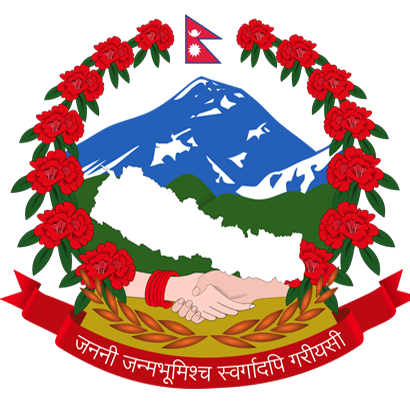 जडीबुटी पकेट क्षेत्र—षडानन्द पालिकाको किसान-उद्यमी वडाध्यक्ष प्रेमदोर्ची शेर्पाको प्रेरणादायी पहल